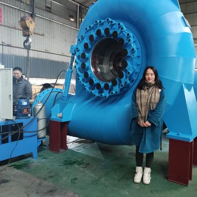 calidad  Reliable Water Turbine Generator For Various Speeds And Frequencies fábrica