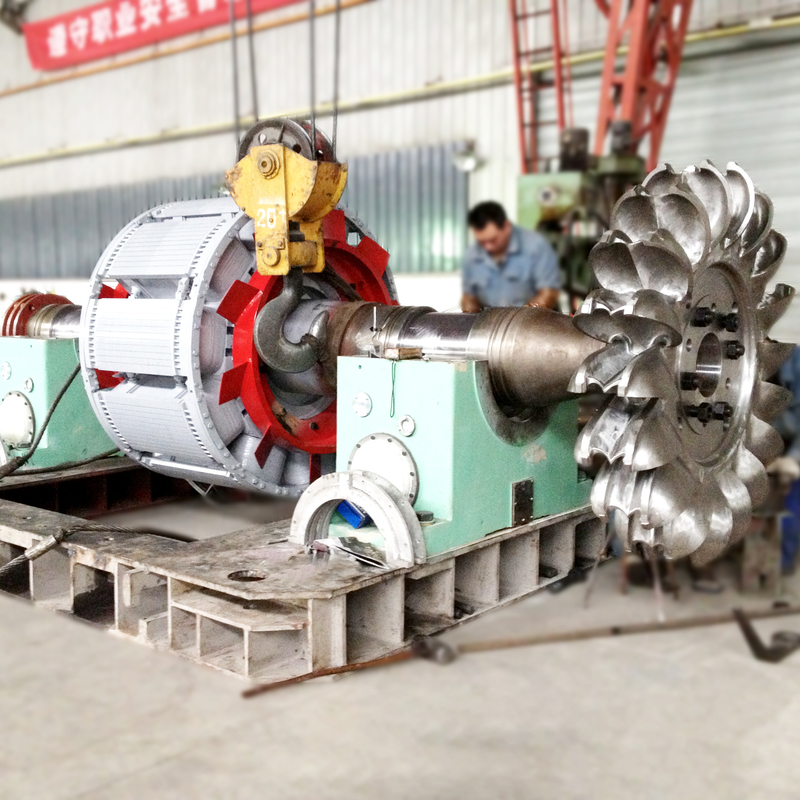Generador de turbina de ruedas de Pelton de 6-10 kV con construcción de hierro fundido / acero inoxidable