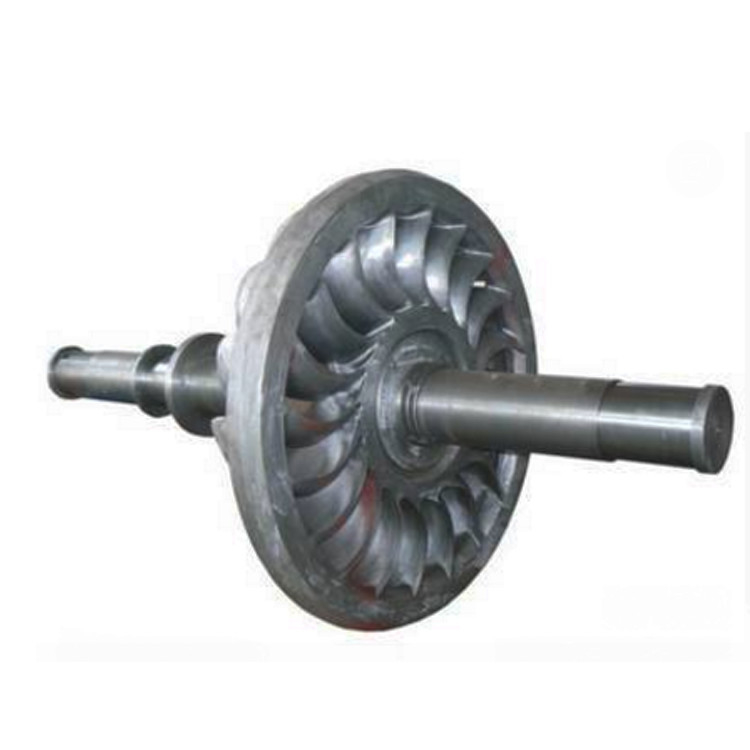 Generador de turbina de acero inoxidable con cabeza nominal de 50-400m para aplicaciones de 220V-11000V