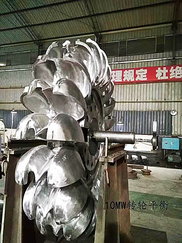Generador de turbina de ruedas de Pelton de 6-10 kV con construcción de hierro fundido / acero inoxidable