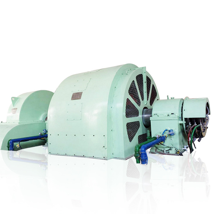 Generador de turbina tipo Pelton de 100 kW-50 MW con construcción de acero inoxidable