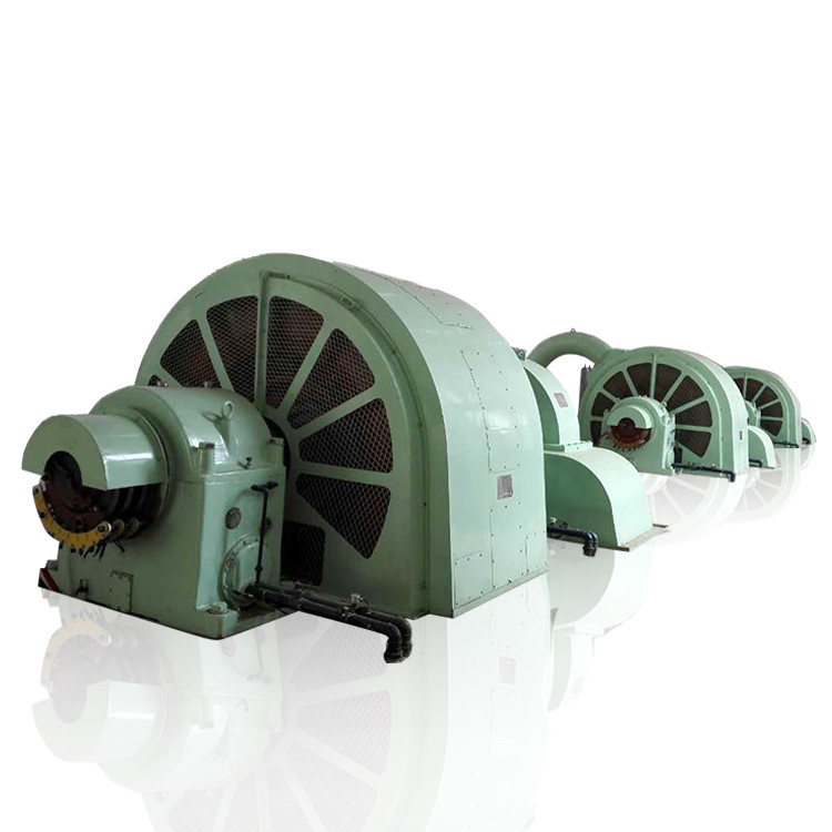 Potencia de salida Generador de turbina Pelton Diseño ligero sin escobillas/tiristor Excitación aislamiento de clase F
