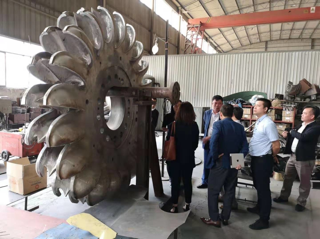 Generador de turbina de Pelton de 10 kV con frecuencia de 60 Hz Construcción de hierro fundido / acero inoxidable Refrigeración por aire / aceite