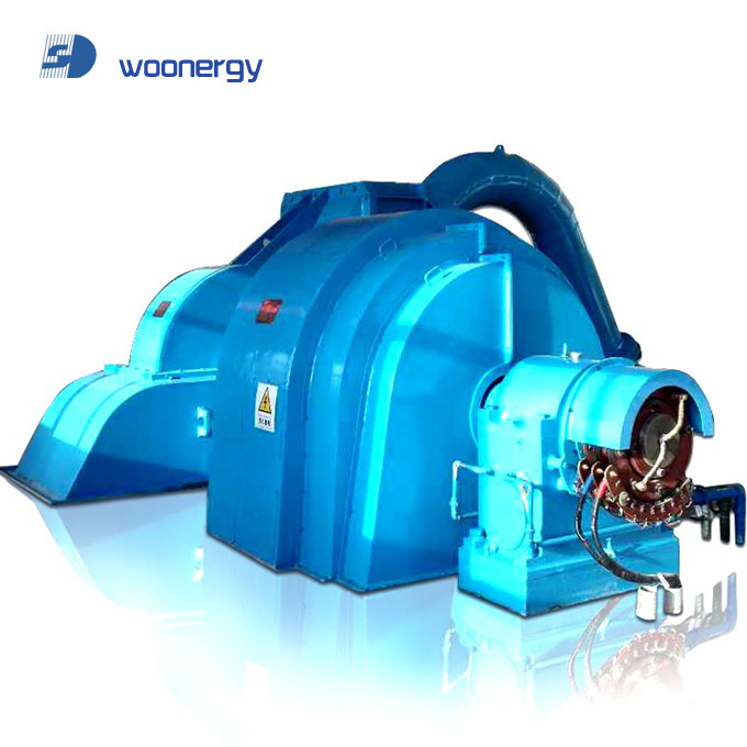 Generador de turbina de Pelton de 10 kV con frecuencia de 60 Hz Construcción de hierro fundido / acero inoxidable Refrigeración por aire / aceite