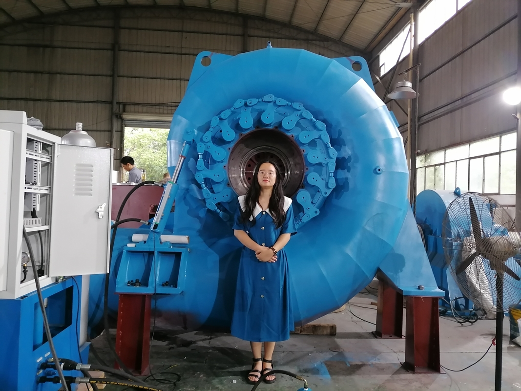 Generador de turbina de agua versátil de color personalizado para necesidades de energía variadas