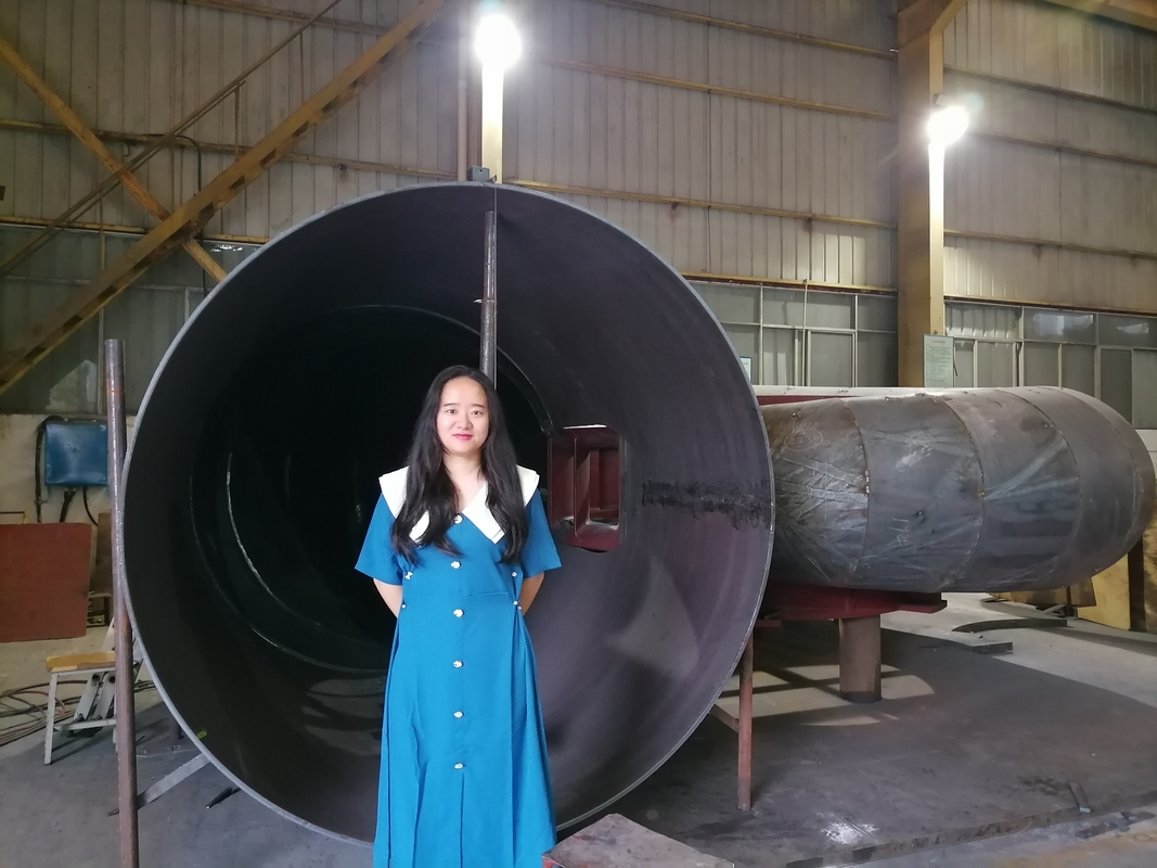 Generador de turbina de agua automático / manual con voltaje nominal de 450-1000 RPM