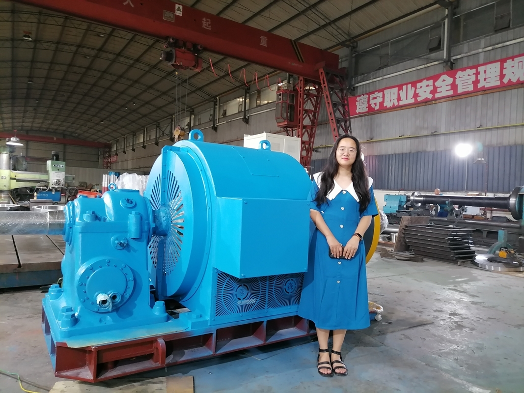 Generador de turbina de agua de refrigeración por aire / agua para 200kw-20mw Frecuencia nominal 50Hz/60Hz