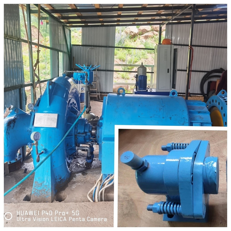 Generador de turbina de agua de eficiencia de color personalizado para centrales hidroeléctricas