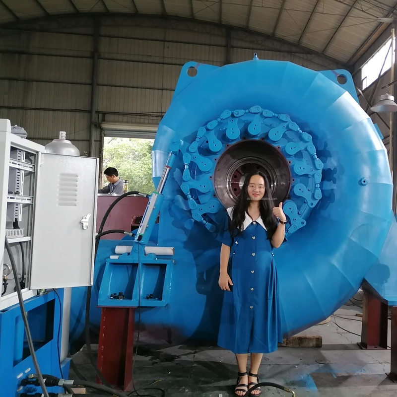 Generador de turbina Francis de 300 kW-20 MW con frecuencia de 50 Hz/60 Hz y voltaje nominal ajustable