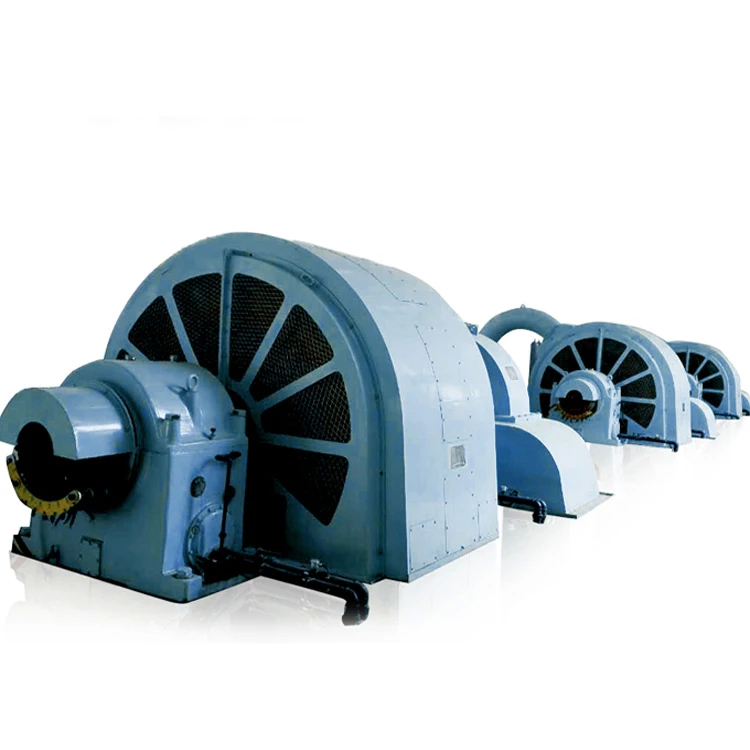Generador de turbina de ruedas de Pelton de 6-10 kV con construcción de hierro fundido / acero inoxidable