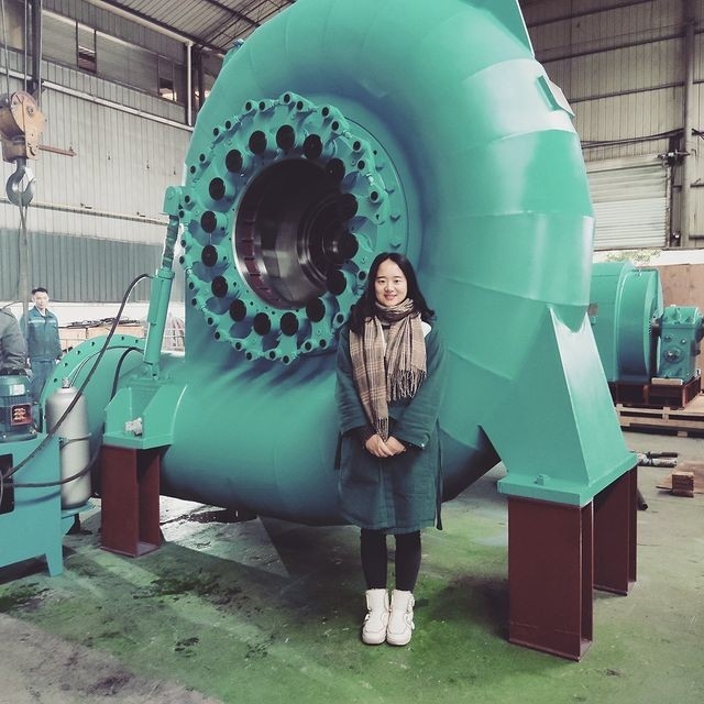 Generador de turbina de agua de colores personalizado 200KW-20MW 50/60Hz Control automático / manual