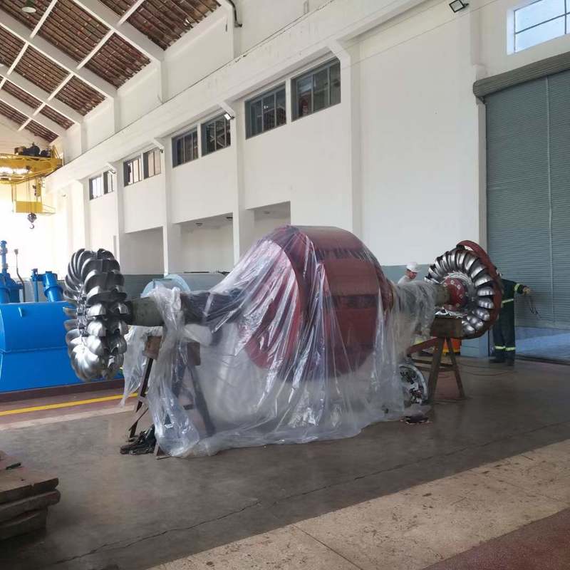 Generadores de turbina Pelton ecológicos | Equipos hidroeléctricos duraderos para proyectos de energía sostenible