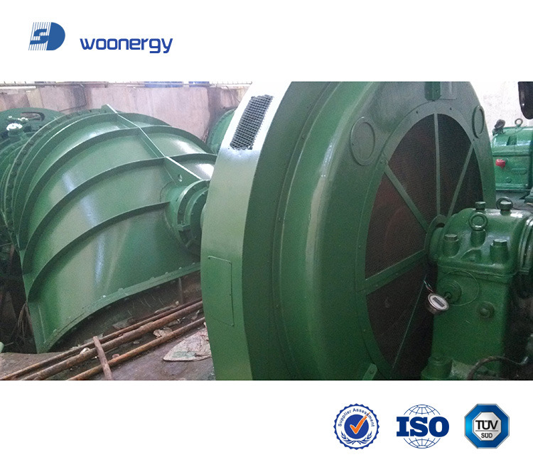 Generador síncrono trifásico con turbina Francis para alturas de diseño de 20m a 500m y para instalación vertical u horizontal