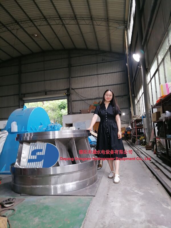 Generador de turbina Francis de 300 kW a 20 MW de potencia de salida y control automático del gobernador para plantas hidroeléctricas de 50 Hz o 60 Hz