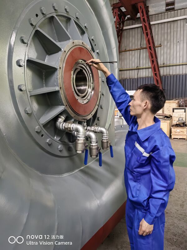 Corredor de turbina hidroeléctrica certificado ISO 9001 con 3 a 10 configuraciones de hojas para una eficiencia del 92% en la generación de energía hidroeléctrica