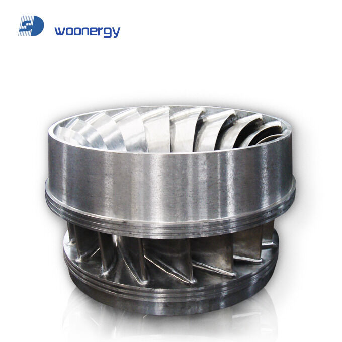 Generador de turbina de agua Francis Runner Diseñado para una altura de diseño de 168 a 357 M Tecnología robusta de generador de turbina Francis