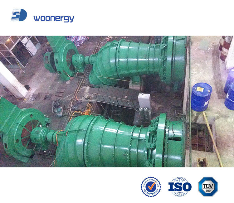 Generador sincrónico Generador de turbina hidráulica Kaplan con tipo de instalación de pozo y caudal de 500-1500 Equipo de energía renovable