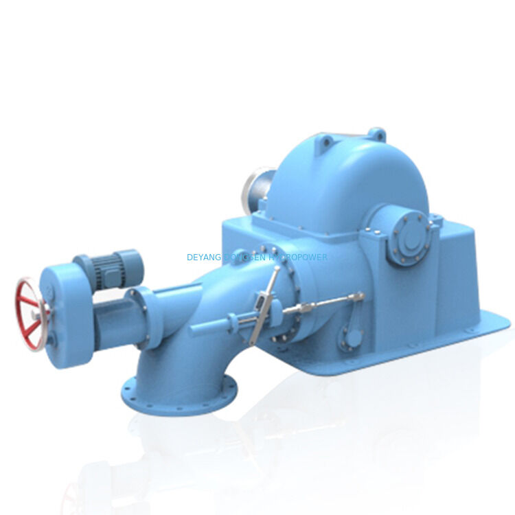 Generador de turbina de Pelton horizontal con tipo de generador síncrono o asíncrono y período de producción de seis meses diseñado para la conversión de energía