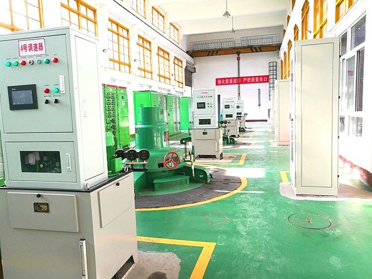 Hojas de acero inoxidable Kaplan Generador de turbina hidráulica Generador de potencia de 100 a 20MW Frecuencia 50Hz o 60Hz Adecuado para sistemas de energía hidroeléctrica
