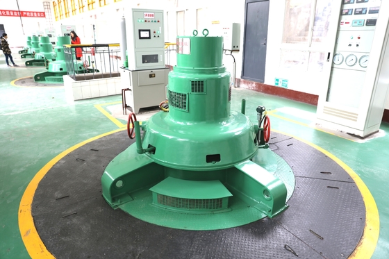 Generador de turbina hidráulica Kaplan de acero inoxidable de 100-20MW con imán permanente sincronizado 220-11000V