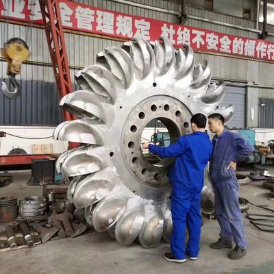 Generador de turbina Pelton sin escobillas de voltaje 1000A Corriente nominal grado de protección IP54