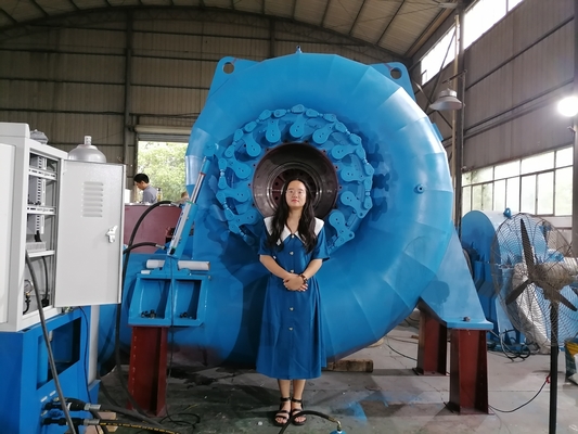 Generador de turbina de agua versátil de color personalizado para necesidades de energía variadas