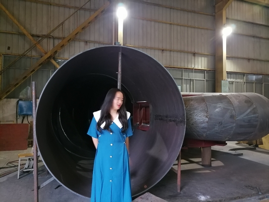 Generador de turbina de agua de generación de energía personalizado con velocidad y frecuencia ajustables