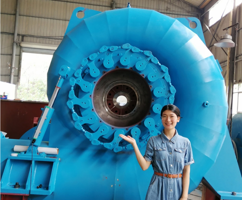 Generador de turbina de agua de 450-1000 RPM con control manual automático