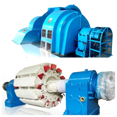 Grado de protección IP54 Generador de turbina tipo Pelton para generación de energía en hierro fundido/acero inoxidable