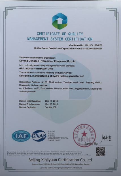 China Deyang Dongsen Hydropower Equipment Co., Ltd. certificaciones