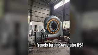 Generador de turbina Francis IP54 Horizontal Vertical